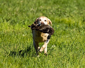 20220605-FINL-0014.jpg