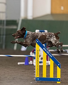 Mazie Bailey