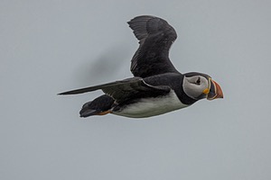 20230711-2024.jpg