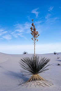 20151207-0078.jpg