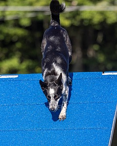 20230917-PVKC-2032.jpg