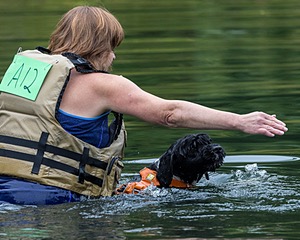 Liza Brogan