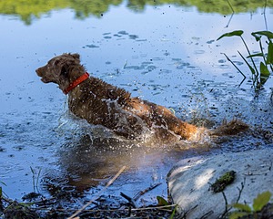 20220604-SHW-2454.jpg