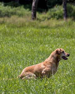 20240720-MH1-0645.jpg
