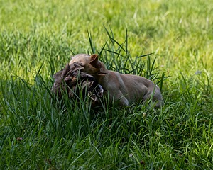 20200809-SHL-0018.jpg
