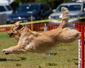 20190615-CCKC-1070.jpg