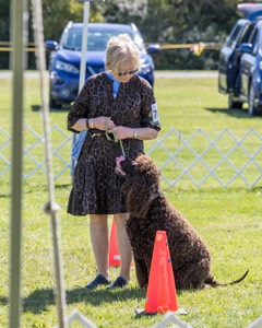 GCH CH CASTLEHILL'S RAMBLIN' RAFAEL O'CRISPIN BN (Rafi)