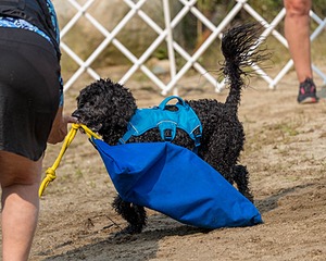 20210912-WWD-0199.jpg