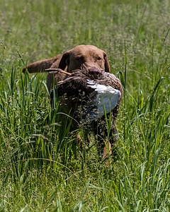 20210606-SEAL-1723.jpg