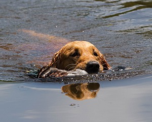 20130714-MHB2-0071.jpg