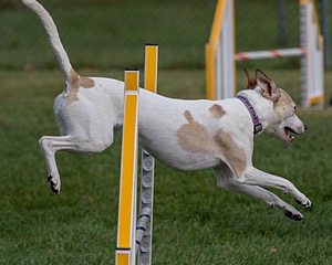 20200819-0280.jpg