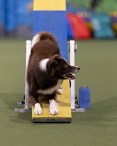 20260221-0955.jpg