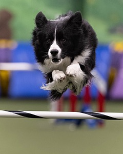 20260221-0218.jpg