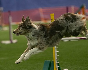 20150321-LEAP-0798.jpg