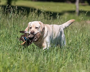 20210606-SEAL-1456.jpg