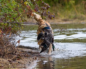 20161008-WCXW-0029.jpg