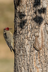 Lewis & Clark Caverns State Park, Whitefish, MT