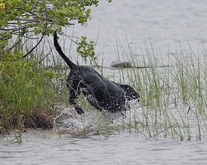 20080531-HRW-0858.jpg