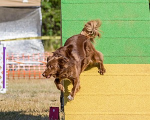 20160619-CCKC-0205.jpg