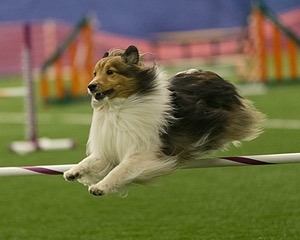 20150321-LEAP-1382.jpg