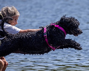 Tango Abbruzzese