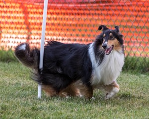 20200819-2939.jpg