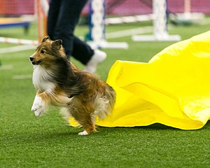 20150322-LEAP-0189.jpg