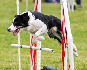 20160515-NEAT-1339.jpg