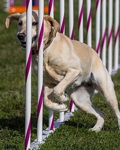 20230916-PVKC-1396.jpg