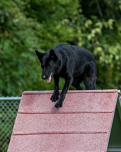 20200819-0368.jpg