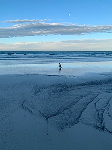 20191209-0893.jpg
