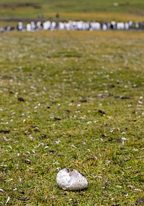 20191208-0367.jpg