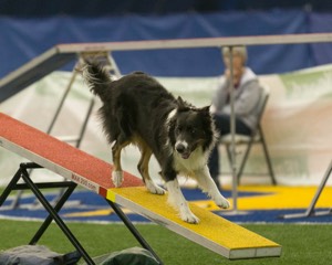 20150321-LEAP-0607.jpg