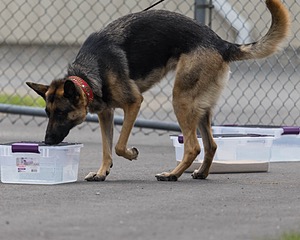 20260718-NSKC-0418.jpg