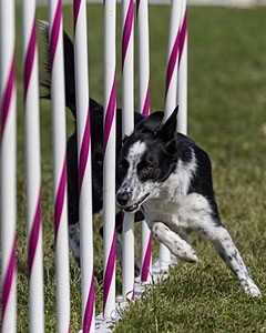 20230916-PVKC-1282.jpg