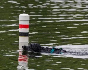 Vela Johnson