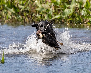 20160924-SHW-0078.jpg
