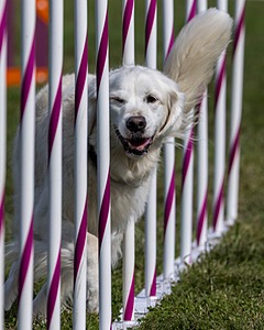 20230916-PVKC-1210.jpg