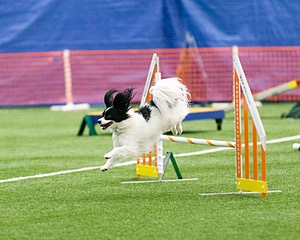 20150322-LEAP-0139.jpg