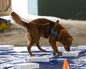 20260718-NSKC-0172.jpg