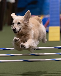 20260221-0627.jpg
