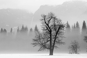 20170208-0033.jpg