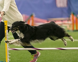 20150321-LEAP-1448.jpg