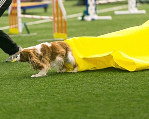 20150322-LEAP-0157.jpg