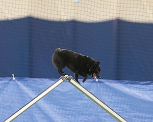 Catcher Johnson