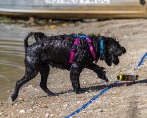 Penny Toby-Ann