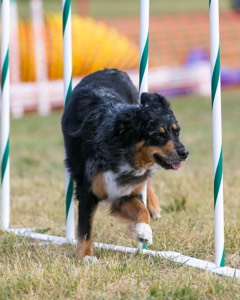 20150614-CCKC-0045.jpg