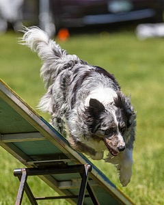Maverick McCabe