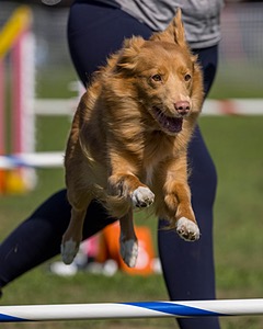 Delilah Cyr