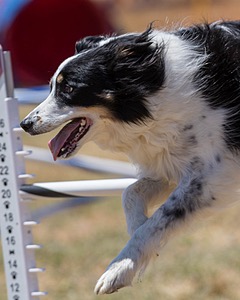 20160618-CCKC-1459.jpg